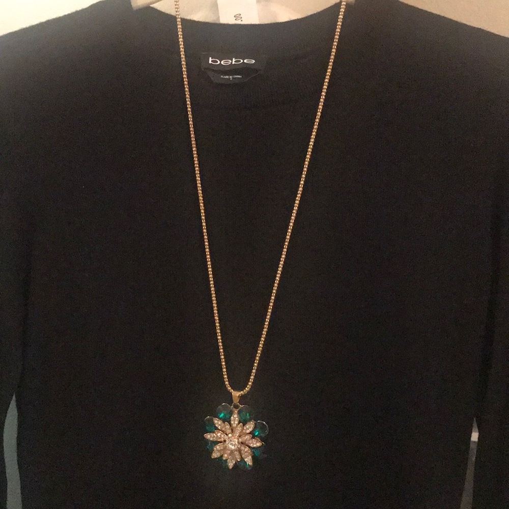 Necklace/jewelry